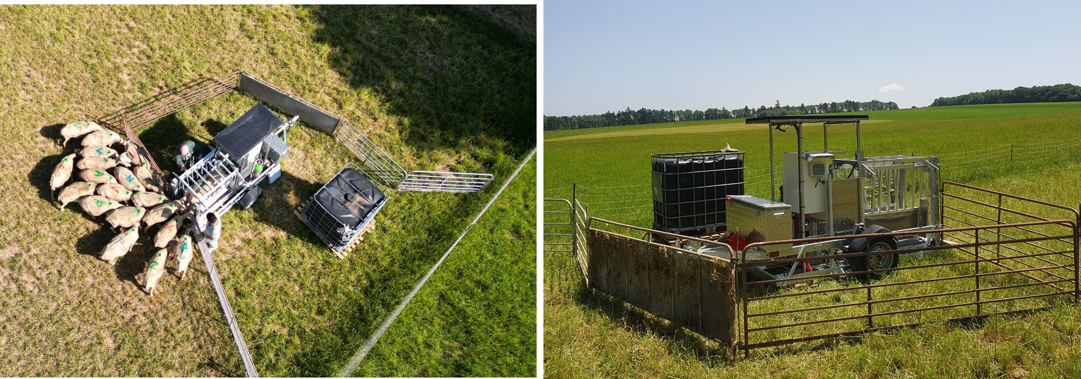 Distributeur automatique d&rsquo;eau adapt&eacute; au p&acirc;turage.