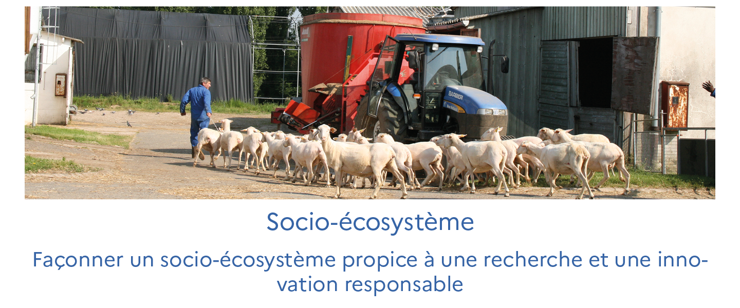 Socio-&eacute;cosyst&egrave;me