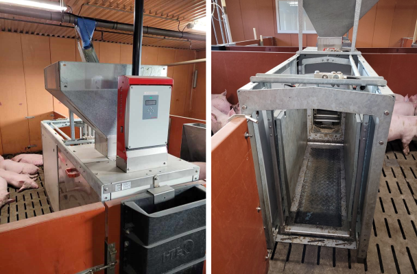 Distributeur automatique d&rsquo;aliments permettant de mesurer la consommation des animaux.