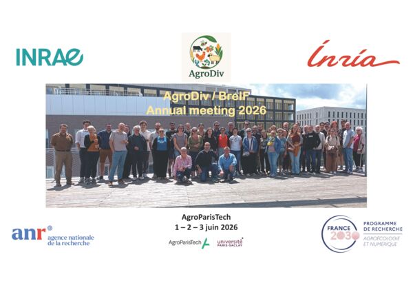 20260601_AG AgroDiv_BReIF